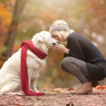 Köpeklerin İş Performansı ve Stres Yönetimi Üzerindeki Etkileri