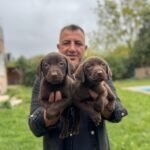 Büyük Irk Köpeğiniz için Balık Yağı Takviyesi: Faydaları ve Dozajı