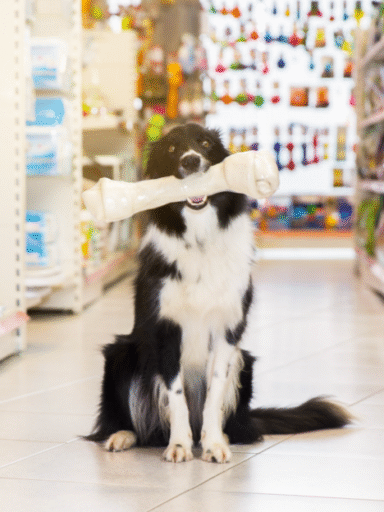 büyük ırk beslenme süreci