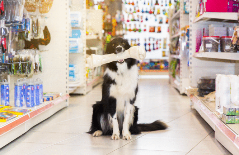 büyük ırk beslenme süreci